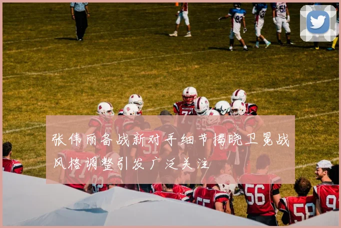 张伟丽备战新对手细节揭晓卫冕战风格调整引发广泛关注